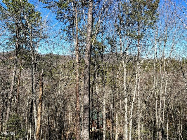 3035 Brothers Way, Sevierville, TN 37862