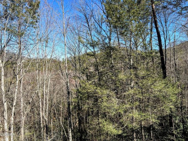 3035 Brothers Way, Sevierville, TN 37862