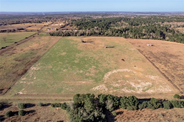 TBD County Road 204, Centerville, TX 75833