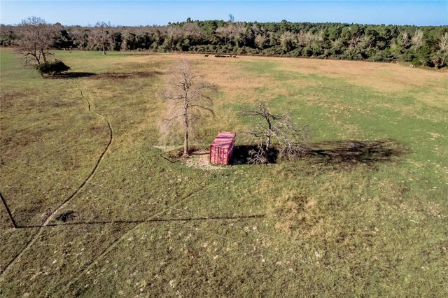 TBD County Road 204, Centerville, TX 75833