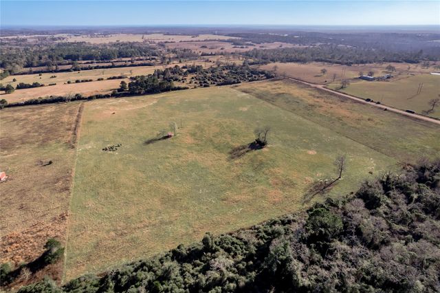 TBD County Road 204, Centerville, TX 75833