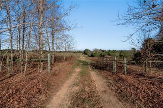 TBD County Road 204, Centerville, TX 75833