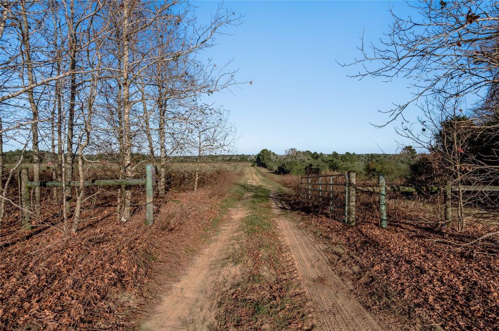TBD County Road 204, Centerville, TX 75833