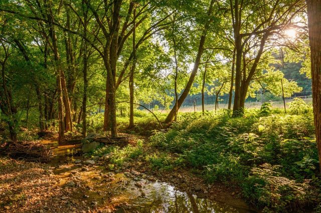 2405 Thompson Rd, Lewisburg, TN 37091