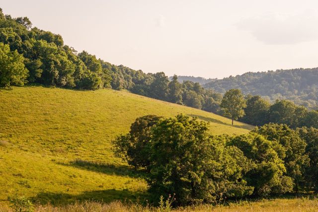 2405 Thompson Rd, Lewisburg, TN 37091