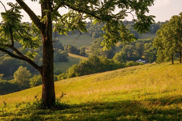 2405 Thompson Rd, Lewisburg, TN 37091