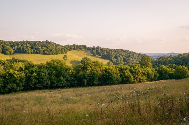 2405 Thompson Rd, Lewisburg, TN 37091