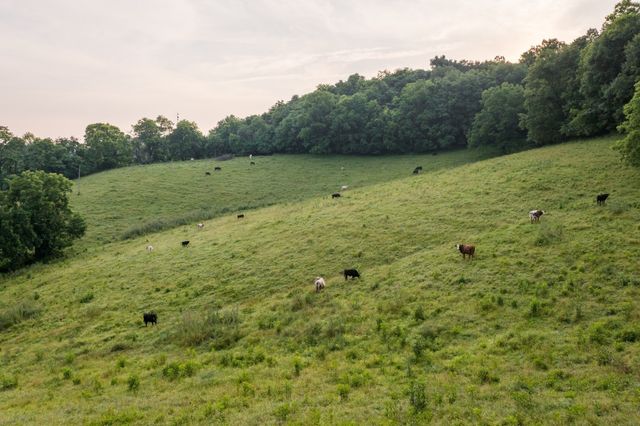 2405 Thompson Rd, Lewisburg, TN 37091