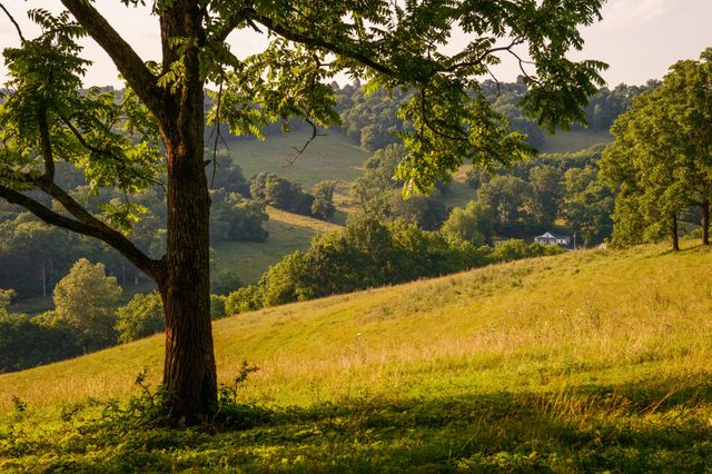 2405 Thompson Rd, Lewisburg, TN 37091