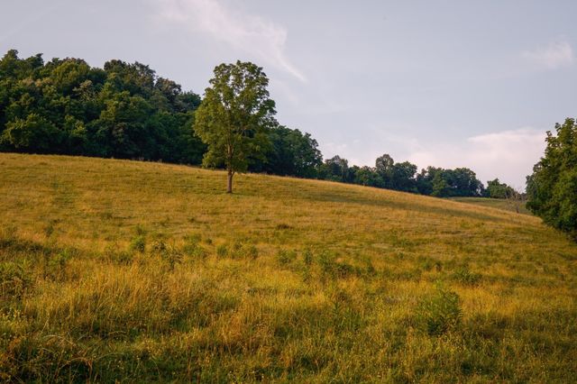 2405 Thompson Rd, Lewisburg, TN 37091