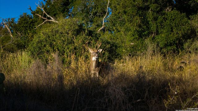 7702 ranch road 965, Llano, TX 78643