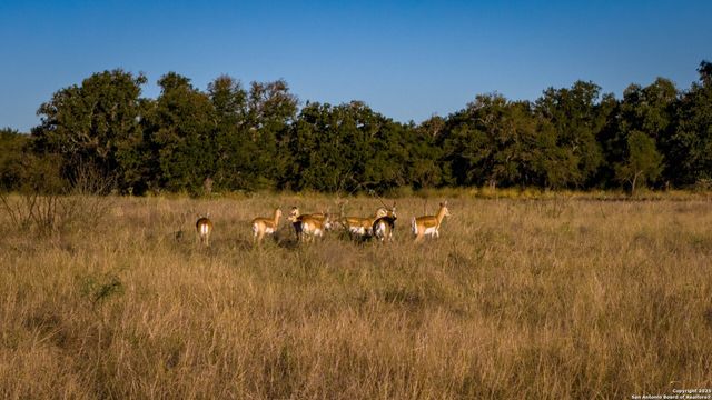 7702 ranch road 965, Llano, TX 78643