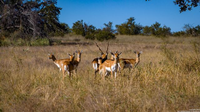 7702 ranch road 965, Llano, TX 78643