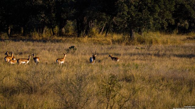 7702 ranch road 965, Llano, TX 78643