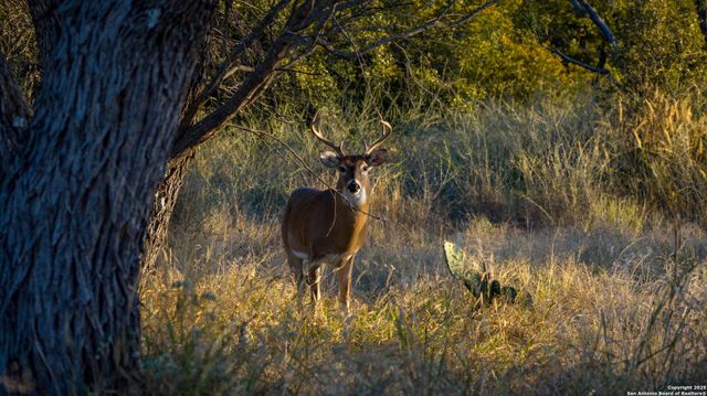 7702 ranch road 965, Llano, TX 78643