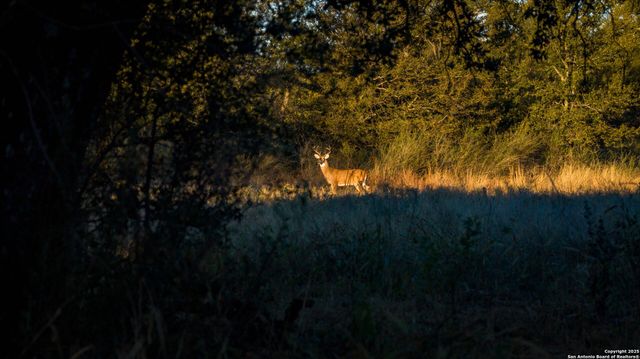 7702 ranch road 965, Llano, TX 78643