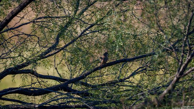 7702 ranch road 965, Llano, TX 78643