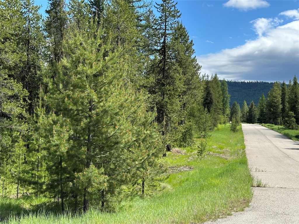 NHN Lot 42 Loon Connector Road, Libby, MT 59923 photo 2