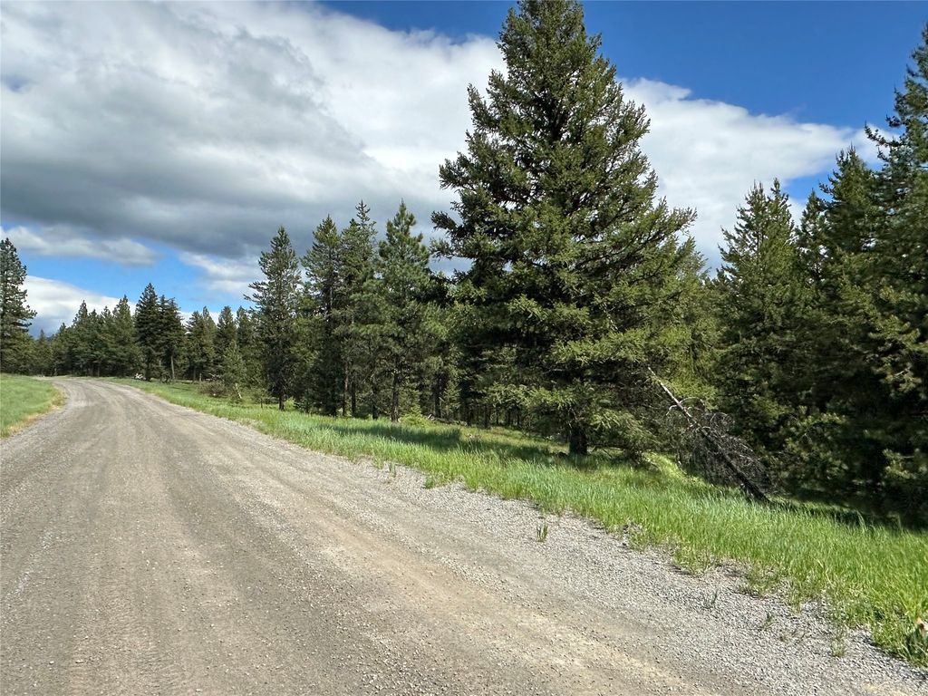 NHN Lot 42 Loon Connector Road, Libby, MT 59923 photo 3