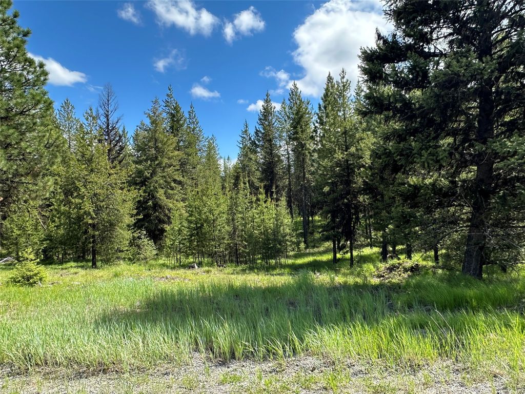 NHN Lot 42 Loon Connector Road, Libby, MT 59923 photo 4