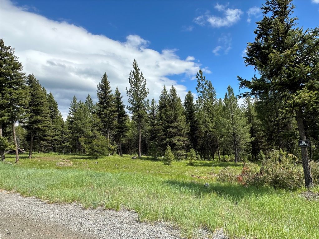 NHN Lot 42 Loon Connector Road, Libby, MT 59923 photo 5