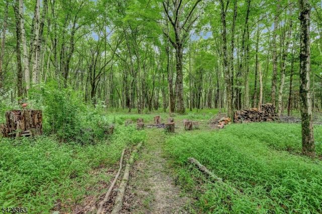 10 Crestview Dr, Hopewell Twp., NJ 08525