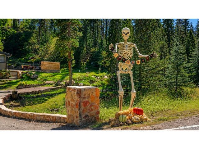 7006 S Brook Forest Rd, Evergreen, CO 80439