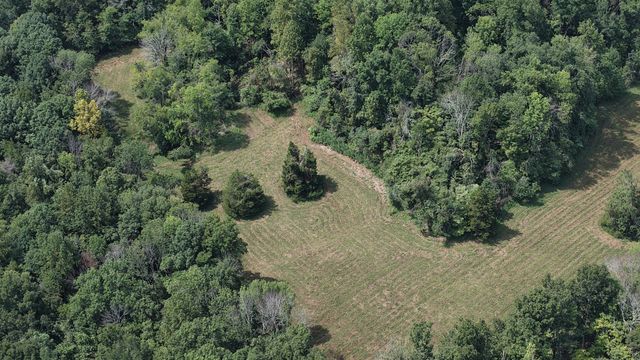 173 Madden Private Ln, Bethpage, TN 37022