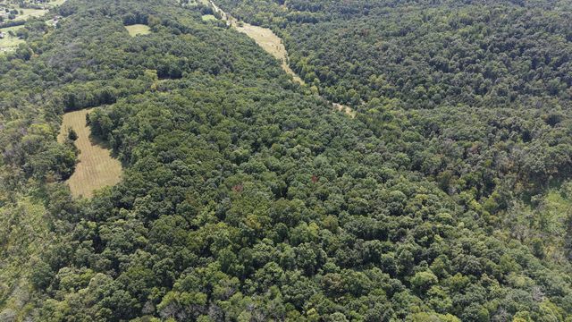 173 Madden Private Ln, Bethpage, TN 37022