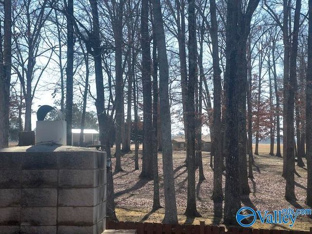 17550 Clearview Street, Athens, AL 35611