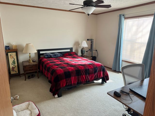 320 N Old Marion Road, Goreville, IL 62939