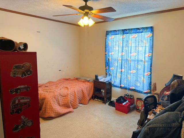 320 N Old Marion Road, Goreville, IL 62939