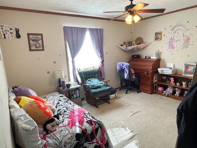 320 N Old Marion Road, Goreville, IL 62939