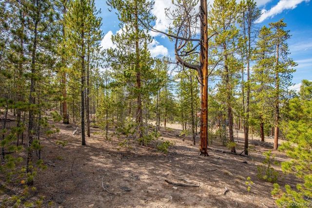 198 Lodgepole Drive, Leadville, CO 80461