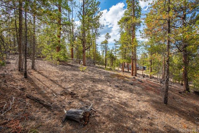 198 Lodgepole Drive, Leadville, CO 80461
