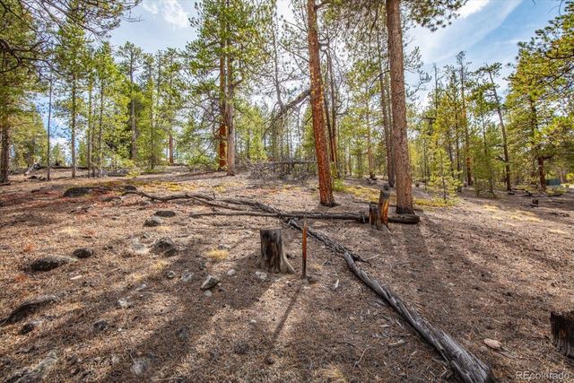 198 Lodgepole Drive, Leadville, CO 80461
