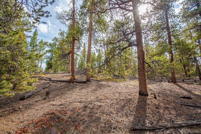 198 Lodgepole Drive, Leadville, CO 80461