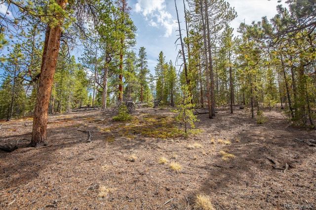 198 Lodgepole Drive, Leadville, CO 80461