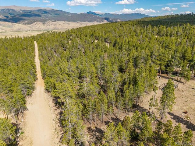 198 Lodgepole Drive, Leadville, CO 80461