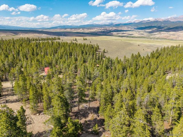 198 Lodgepole Drive, Leadville, CO 80461
