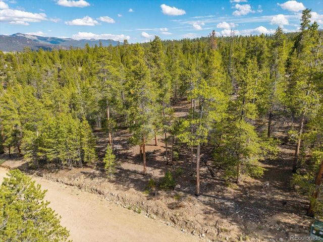 198 Lodgepole Drive, Leadville, CO 80461