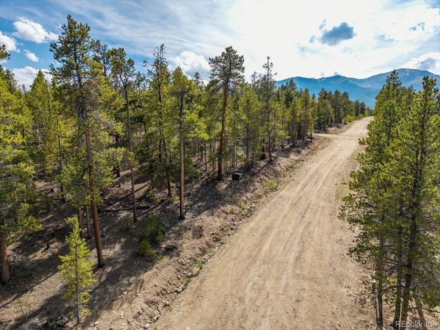 198 Lodgepole Drive, Leadville, CO 80461