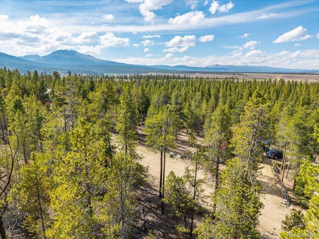 198 Lodgepole Drive, Leadville, CO 80461