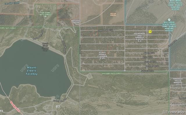 198 Lodgepole Drive, Leadville, CO 80461