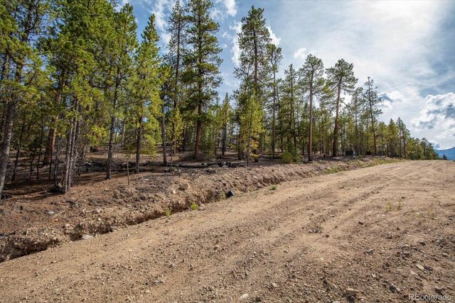 198 Lodgepole Drive, Leadville, CO 80461
