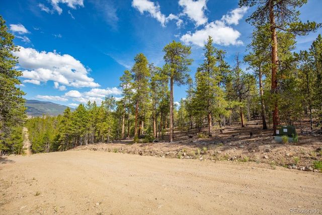 198 Lodgepole Drive, Leadville, CO 80461
