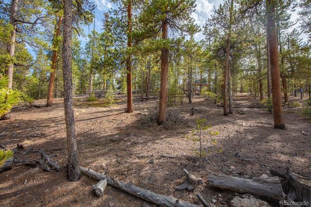198 Lodgepole Drive, Leadville, CO 80461