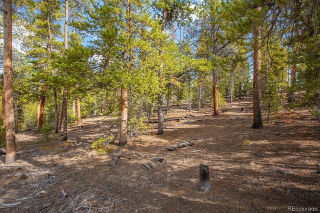 198 Lodgepole Drive, Leadville, CO 80461