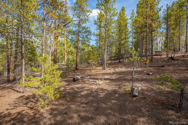 198 Lodgepole Drive, Leadville, CO 80461