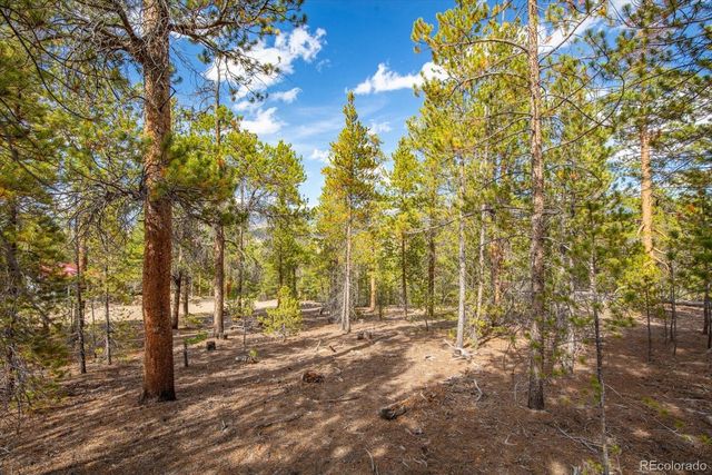 198 Lodgepole Drive, Leadville, CO 80461